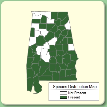 Species Distribution Map