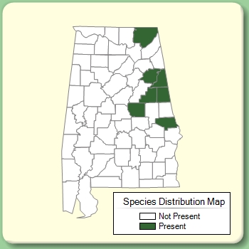 Species Distribution Map