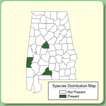 Species Distribution Map