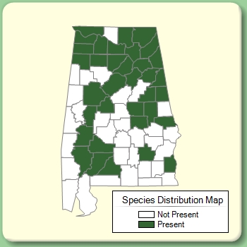 Species Distribution Map