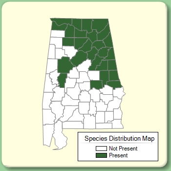 Species Distribution Map