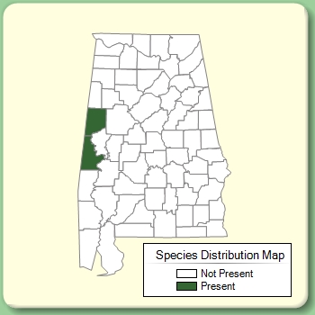 Species Distribution Map