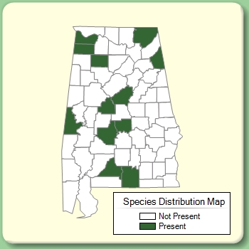 Species Distribution Map