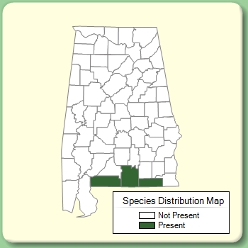 Species Distribution Map