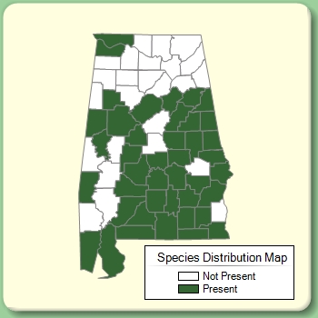 Species Distribution Map