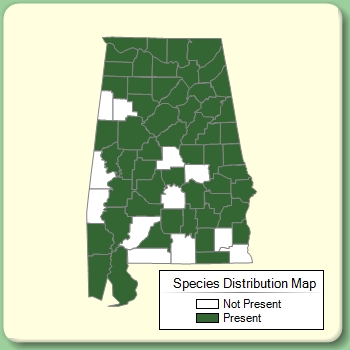 Species Distribution Map