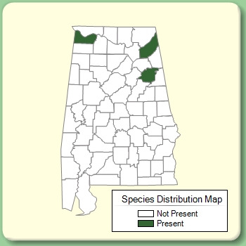 Species Distribution Map