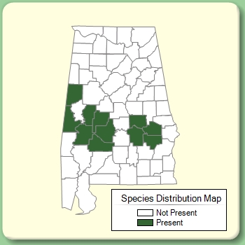 Species Distribution Map