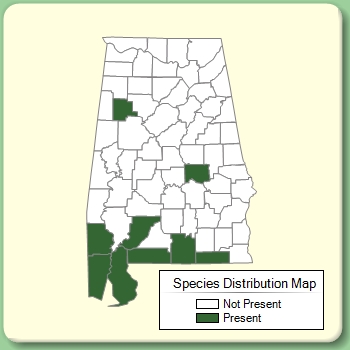 Species Distribution Map