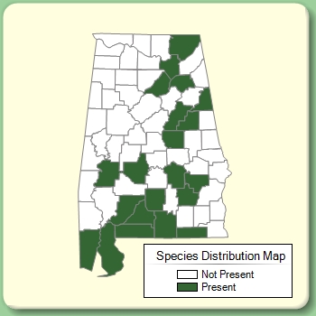 Species Distribution Map