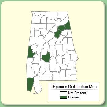 Species Distribution Map