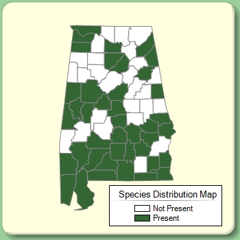 Species Distribution Map