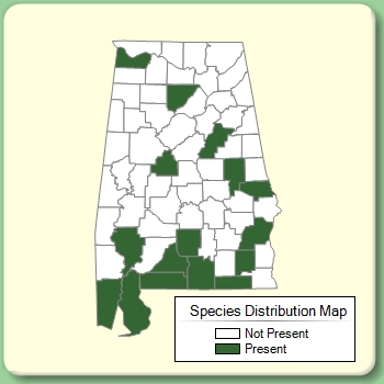 Species Distribution Map