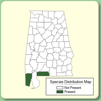 Species Distribution Map