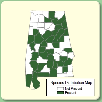 Species Distribution Map