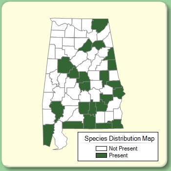 Species Distribution Map