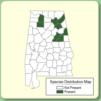 Species Distribution Map