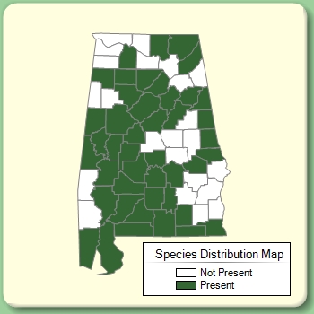 Species Distribution Map