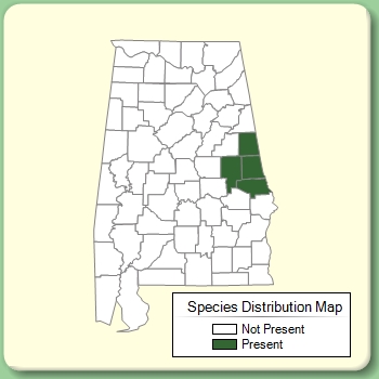 Species Distribution Map