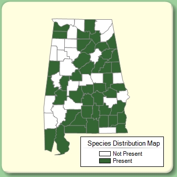 Species Distribution Map