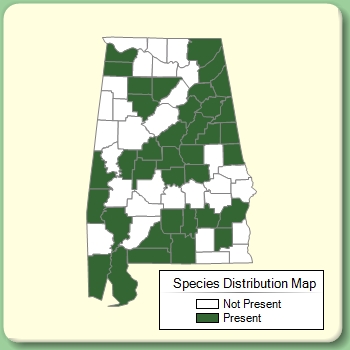 Species Distribution Map