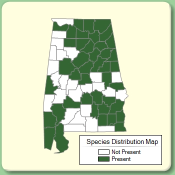 Species Distribution Map