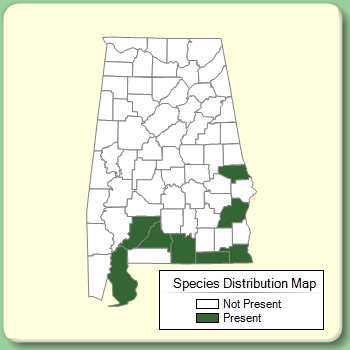 Species Distribution Map