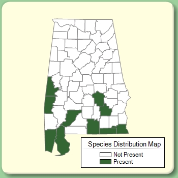 Species Distribution Map