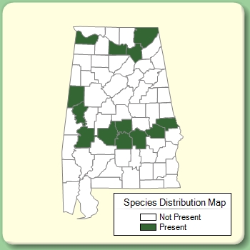 Species Distribution Map