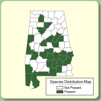 Species Distribution Map