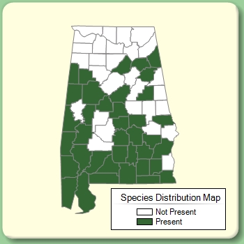 Species Distribution Map