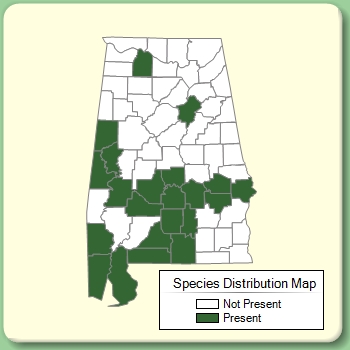 Species Distribution Map