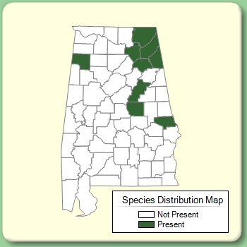 Species Distribution Map