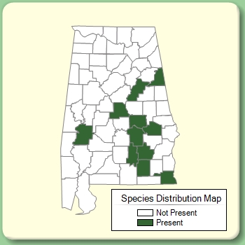 Species Distribution Map