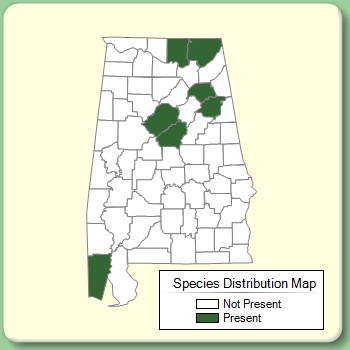 Species Distribution Map