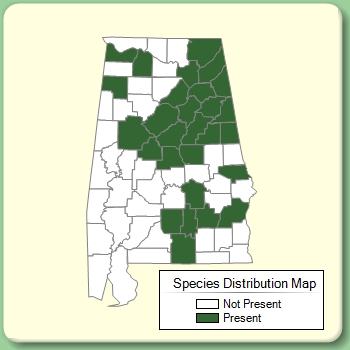 Species Distribution Map