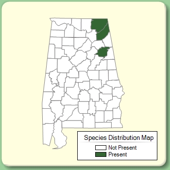 Species Distribution Map