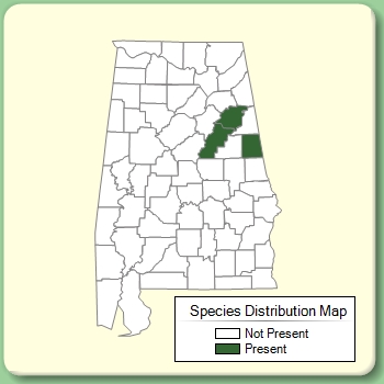 Species Distribution Map