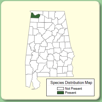 Species Distribution Map