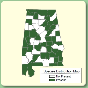 Species Distribution Map