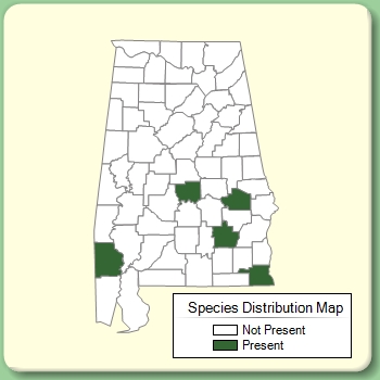 Species Distribution Map