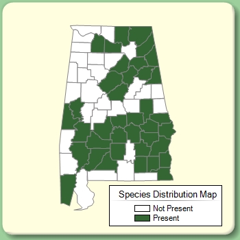 Species Distribution Map