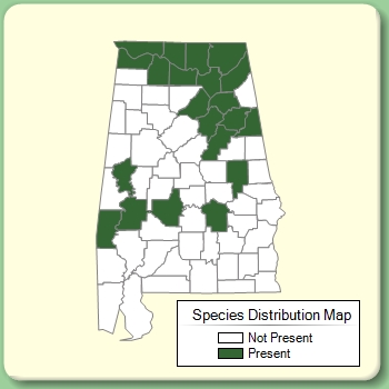 Species Distribution Map