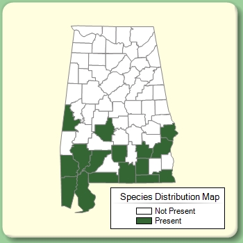 Species Distribution Map