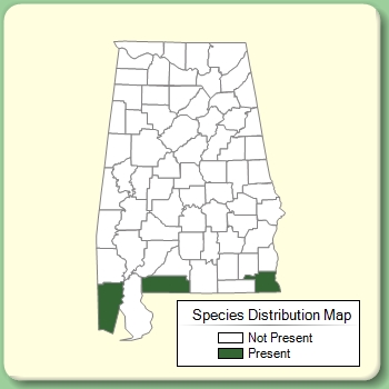 Species Distribution Map