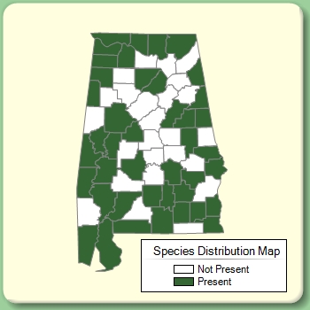 Species Distribution Map