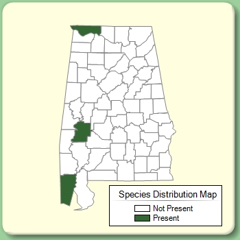 Species Distribution Map