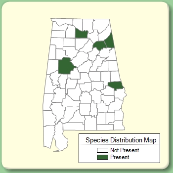 Species Distribution Map