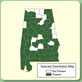 Species Distribution Map