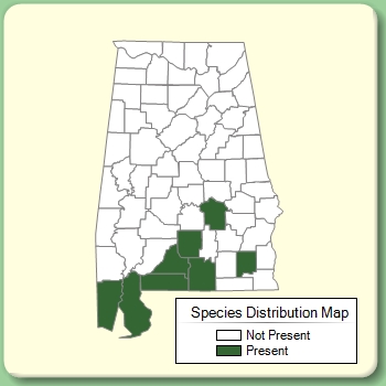 Species Distribution Map